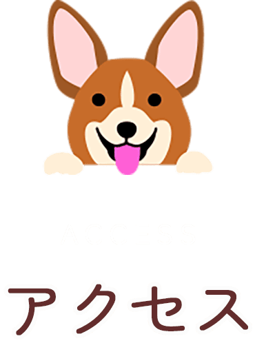 アクセス
