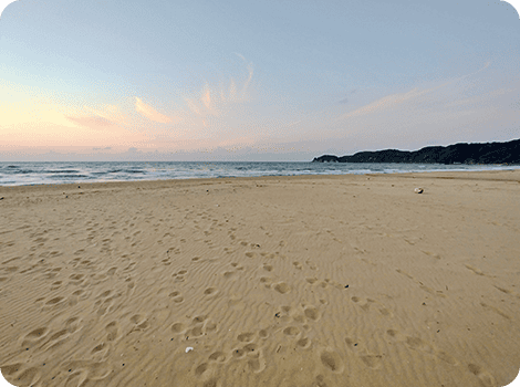 琴ヶ浜