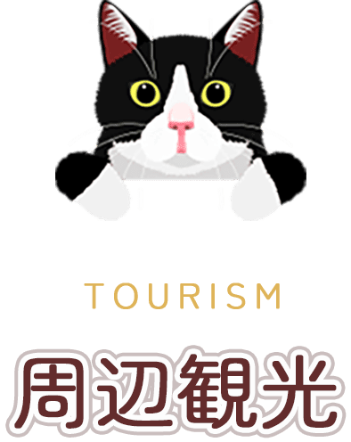 周辺観光
