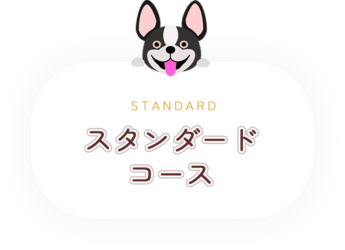 スタンダードコース