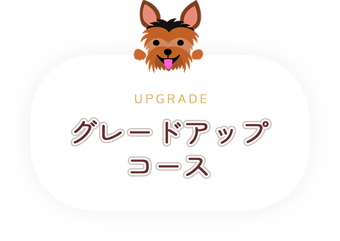 グレードアップコース