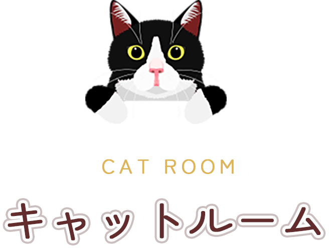 キャットルーム